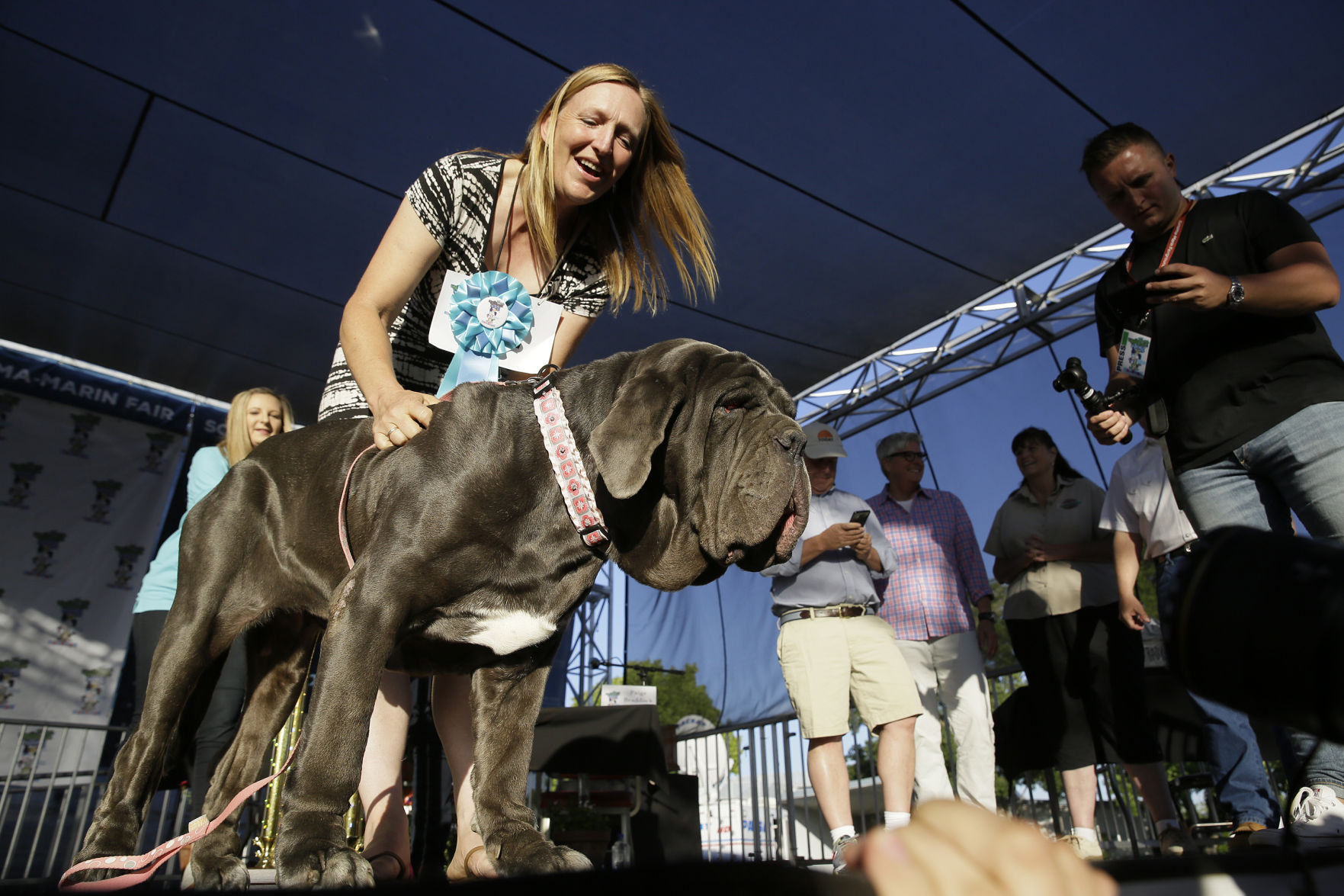 World's Ugliest Dog